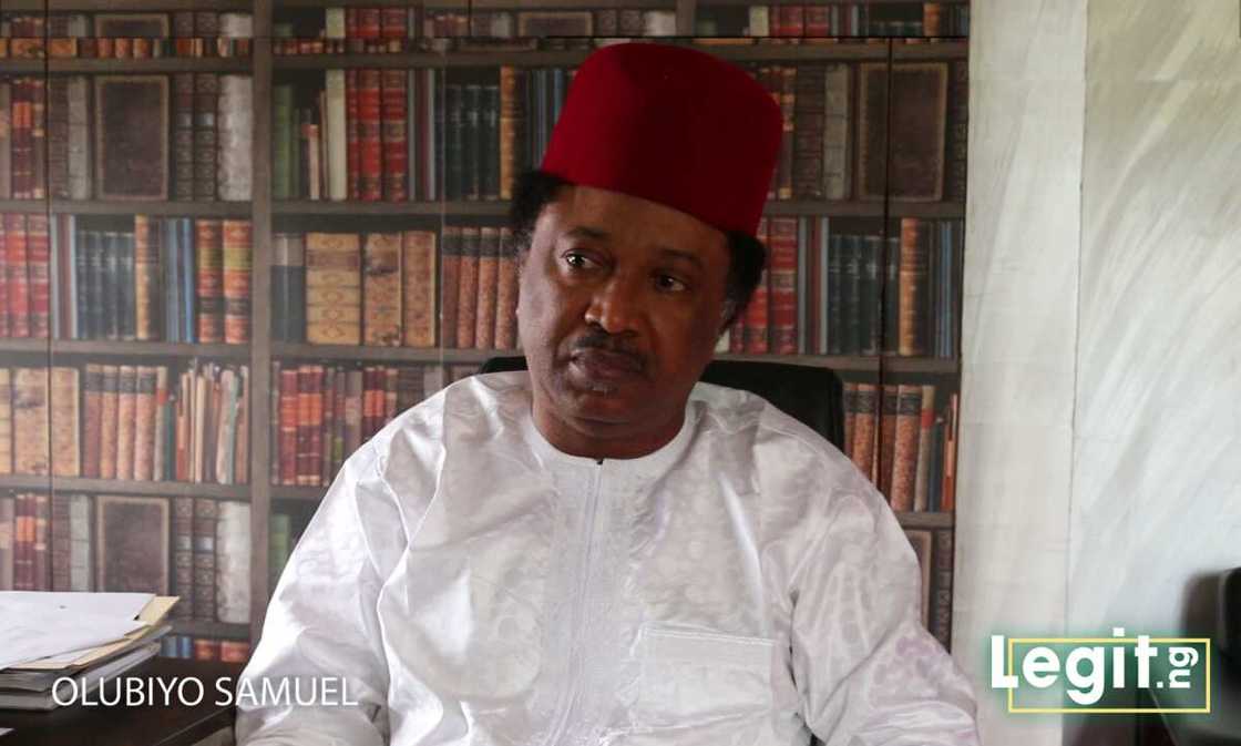 Shehu Sani speaking with a Legit.ng reporter Shehu Sani speaking with a Legit.ng reporter