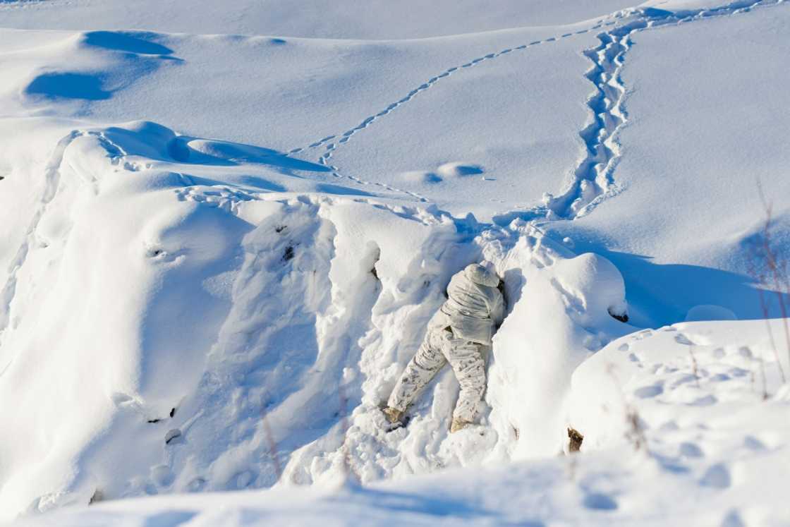 A Canadian sailor peers over a ridge as a team from the Canadian Navy test thermal imaging drone capabilities in Arctic environments, during Operation Nanook, the Canadian Armed Forces' annual Arctic training and sovereignty operation, in Inuvik, Northwest Territories in February 2025 A Canadian sailor peers over a ridge as a team from the Canadian Navy test thermal imaging drone capabilities in Arctic environments, during Operation Nanook, the Canadian Armed Forces' annual Arctic training and sovereignty operation, in Inuvik, Northwest Territories in February 2025