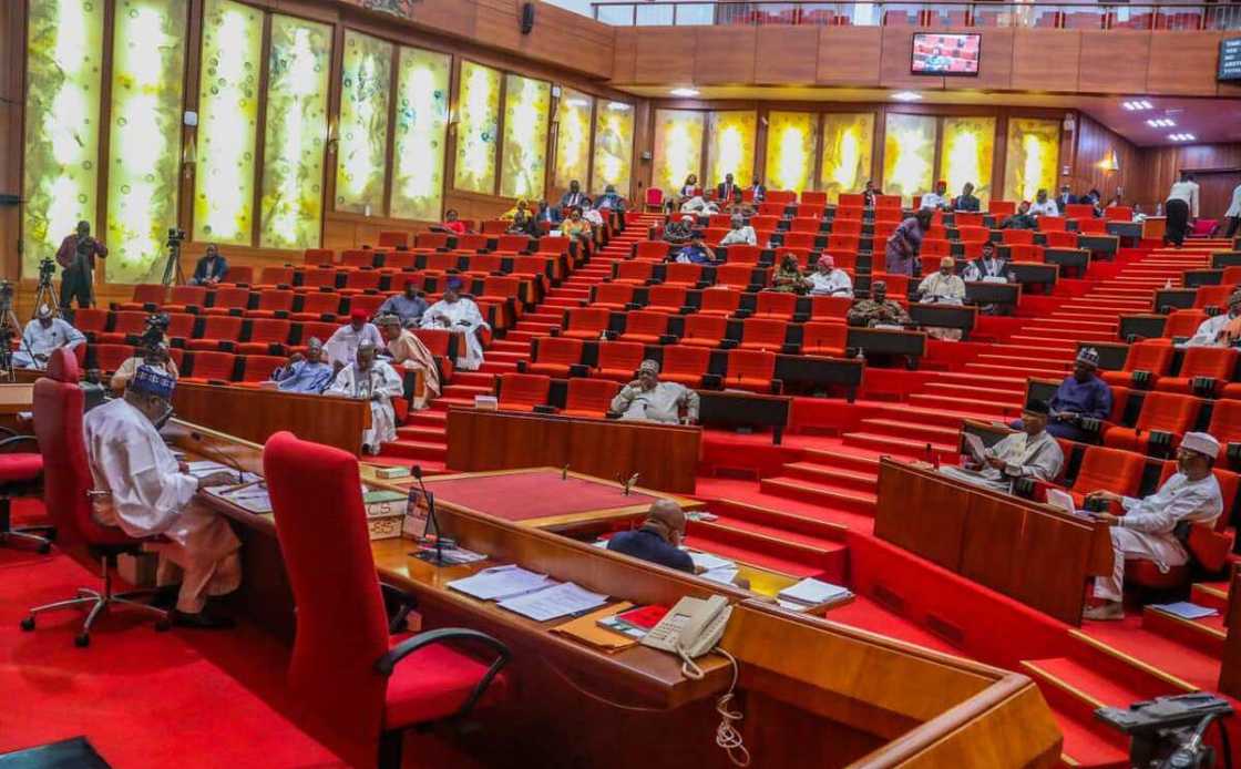 NASS, Senate NASS, Senate