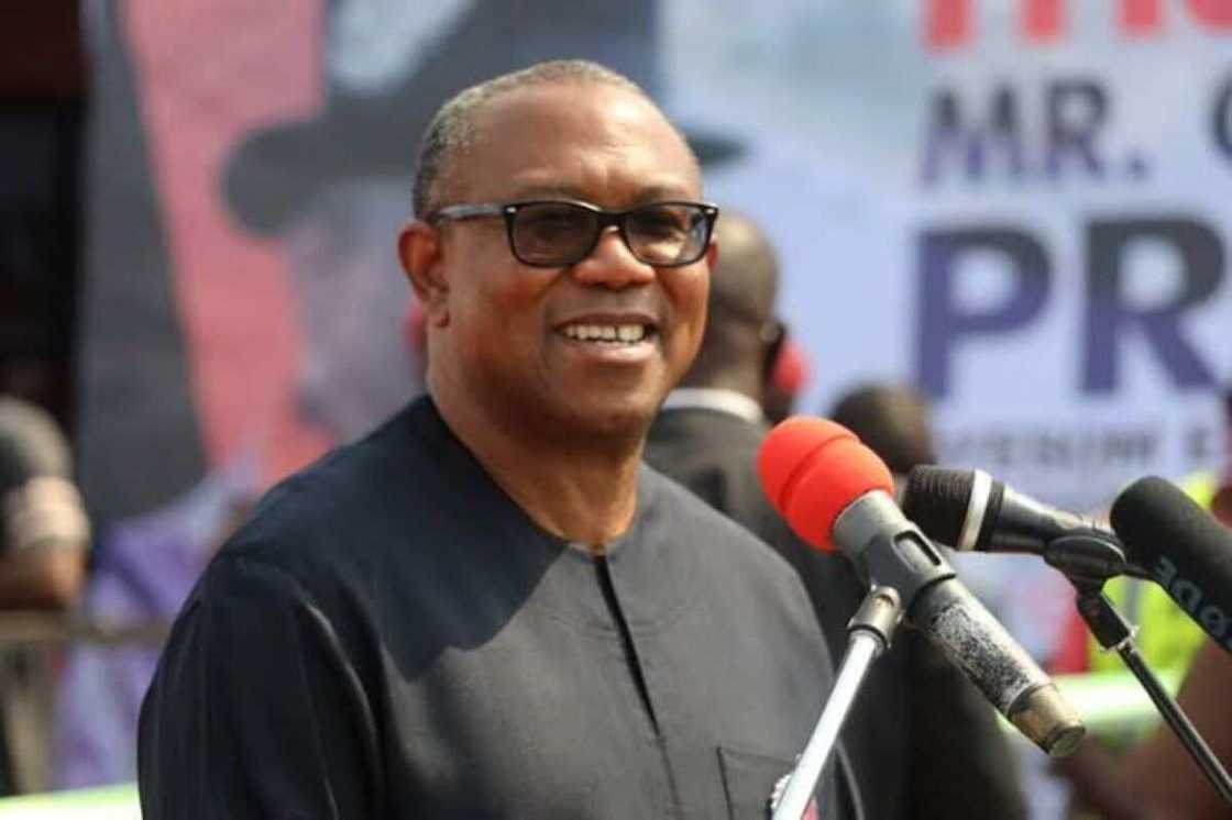 Peter Obi, Nigeria economy, 2023 presidential election, Labour Party, politics in Nigeria