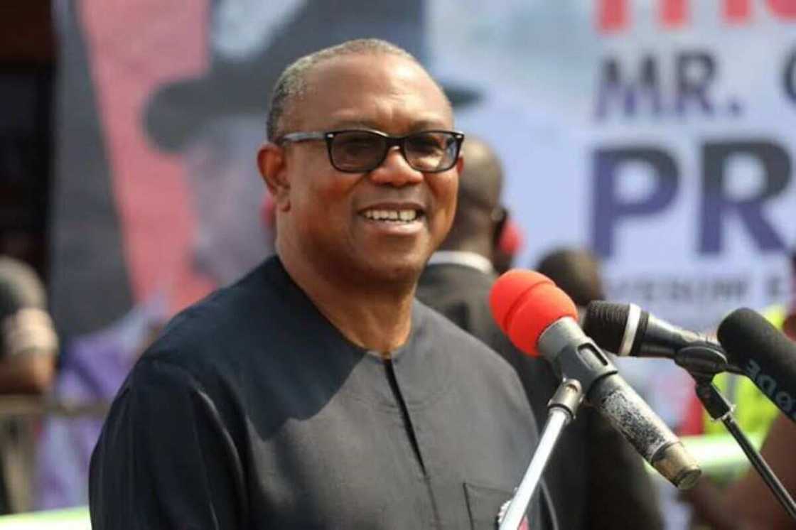 Peter Obi, Nigeria economy, 2023 presidential election, Labour Party, politics in Nigeria Peter Obi, Nigeria economy, 2023 presidential election, Labour Party, politics in Nigeria