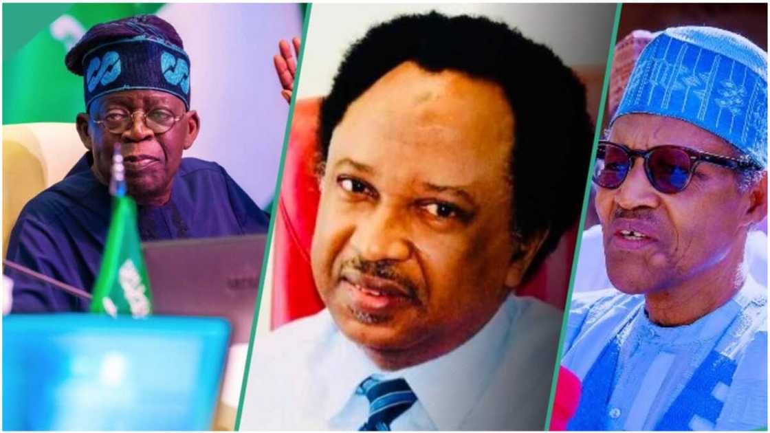 Muhammadu Buhari/Bola Tinubu/Shehu Sani/APC/Presidency Muhammadu Buhari/Bola Tinubu/Shehu Sani/APC/Presidency