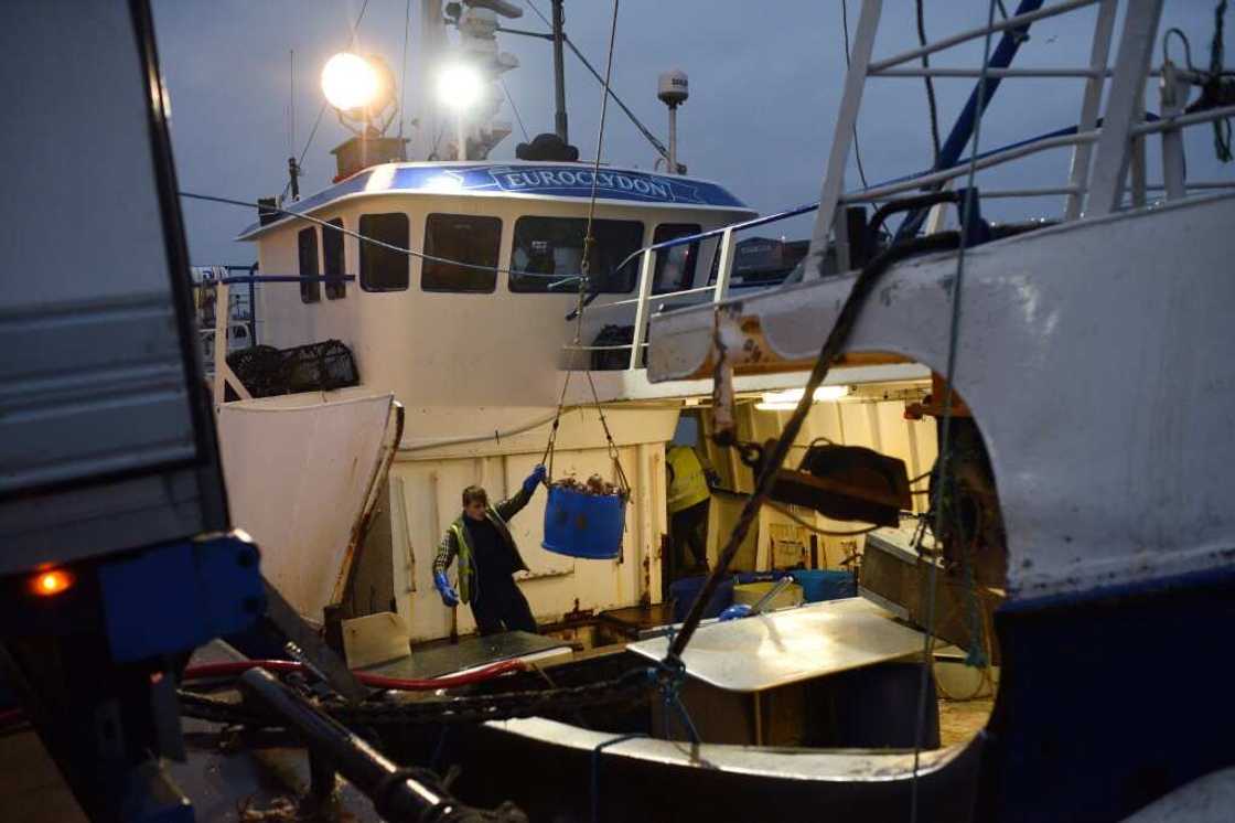 In the mid-20th century, Grimsby was one of the world's leading fishing ports, until the fleets of trawlers began to disappear in the 1970s In the mid-20th century, Grimsby was one of the world's leading fishing ports, until the fleets of trawlers began to disappear in the 1970s