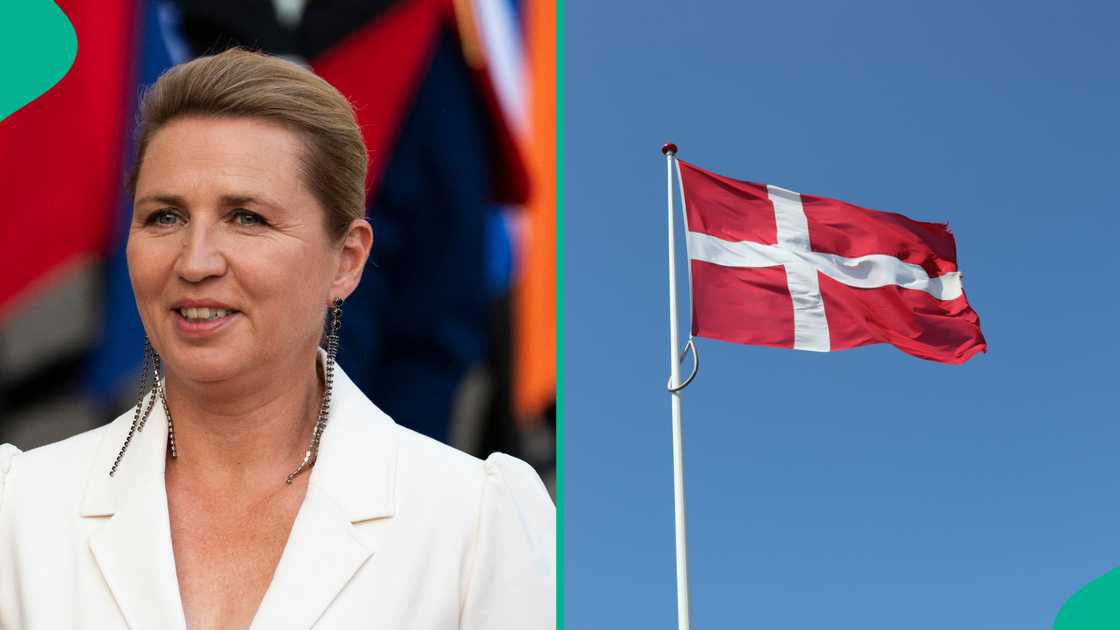 See groups of foreigenrs who can get Danish citizenship without having a job