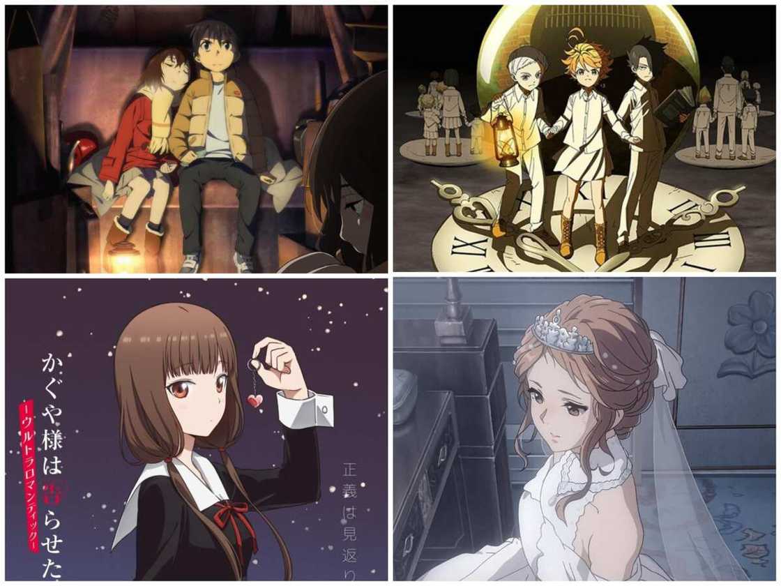 short anime short anime