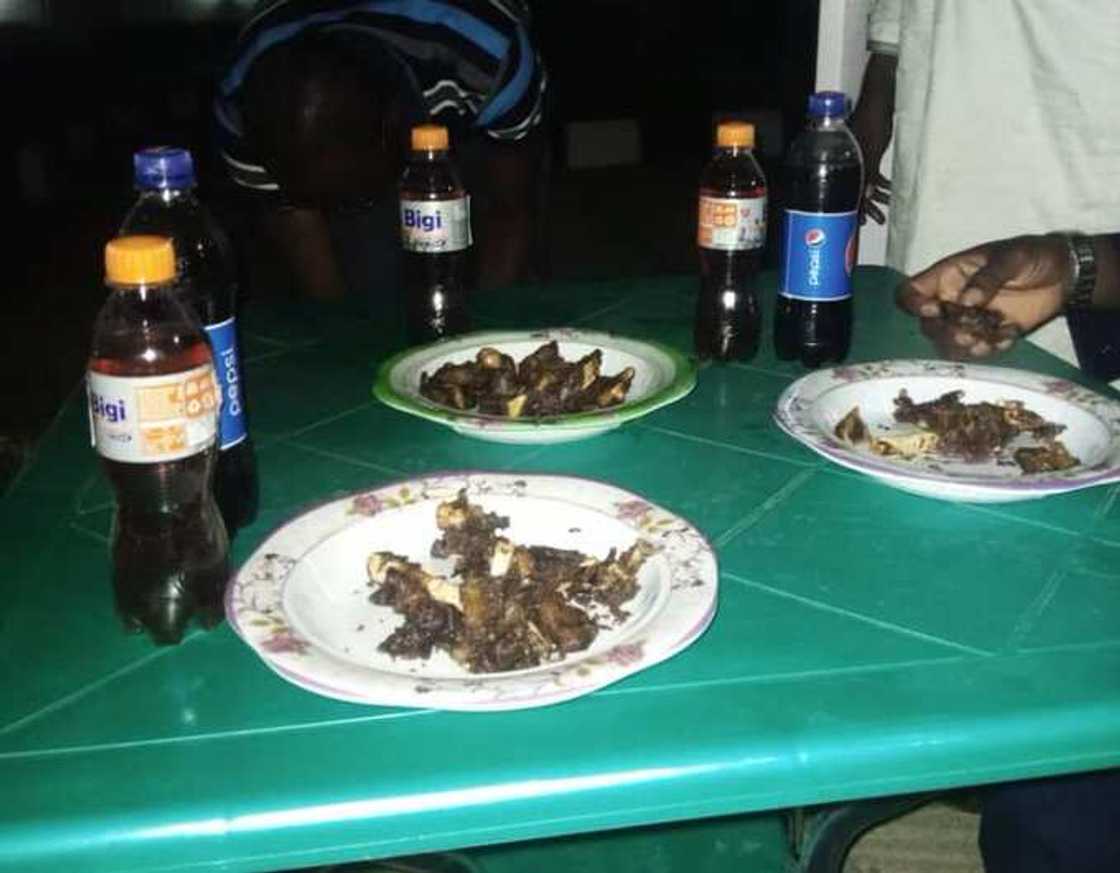 Mutum 40 kacal suka halarta bana sabanin 300 a bara: Mai shirya liyafar murnar dawowar Buhari
Credit: @daily_trust Mutum 40 kacal suka halarta bana sabanin 300 a bara: Mai shirya liyafar murnar dawowar Buhari
Credit: @daily_trust