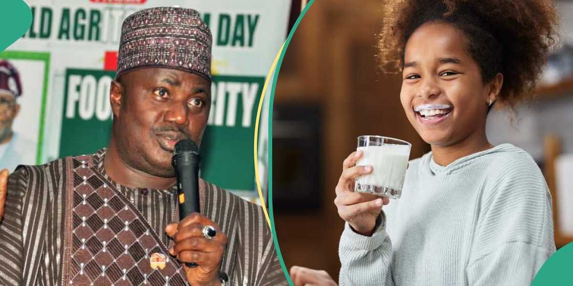 Gwamnati ta yi magana kan samar da madara a Najeriya Gwamnati ta yi magana kan samar da madara a Najeriya