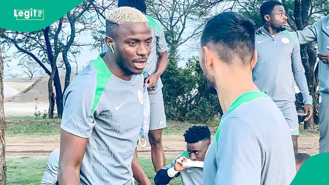 Victor Osimhen, Nigeria, Super Eagles, Galatasaray, World Cup qualifiers