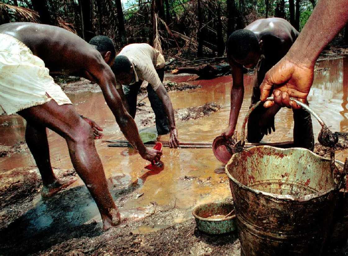 Danyen mai Danyen mai