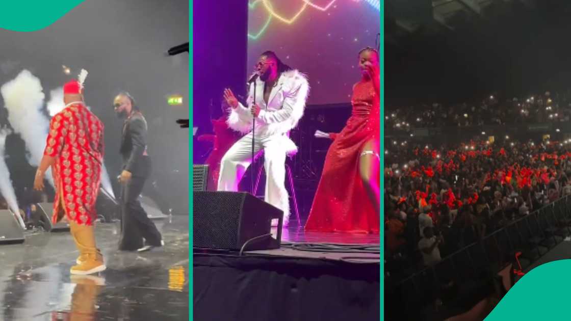 Clips from Flavour's concert at OVO Wembley trends