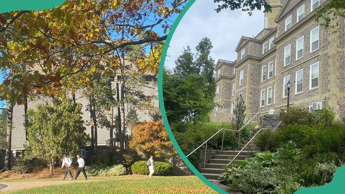 Dalhousie University campus Dalhousie University campus