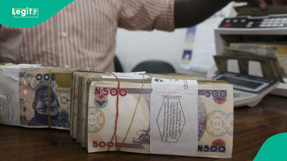 CBN tells Nigerians to protect the naira CBN tells Nigerians to protect the naira
