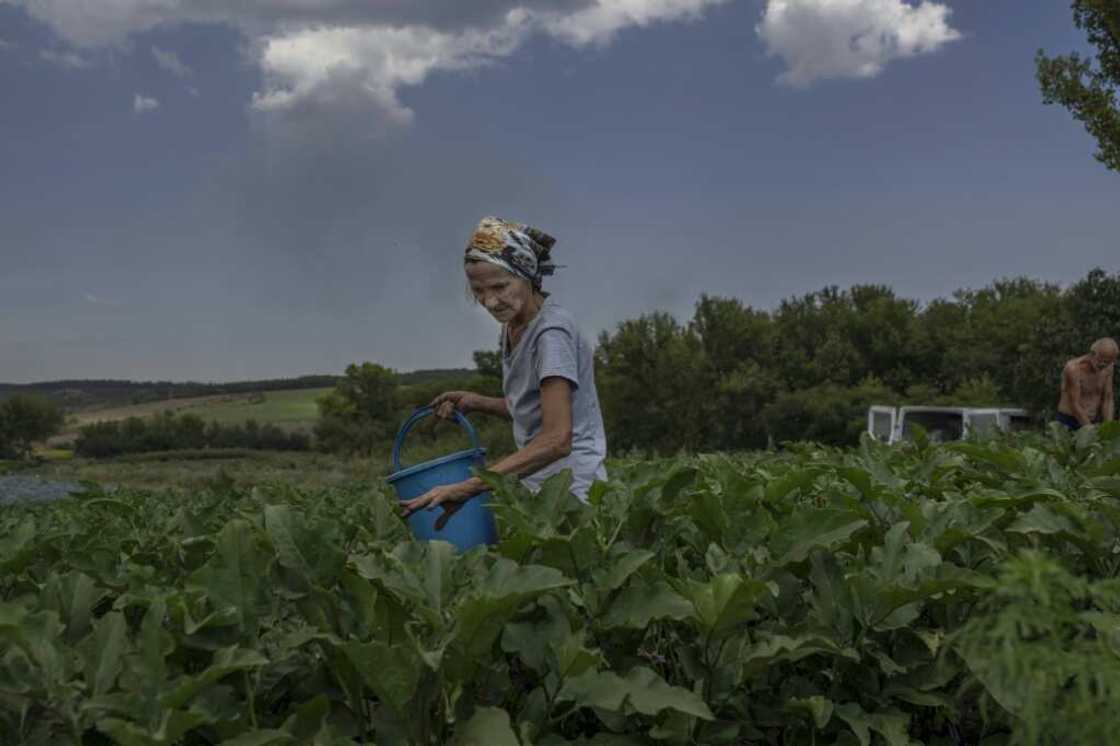Russia has refocussed its efforts on Donbas, where the Kremlin has been backing separatists since 2014 Russia has refocussed its efforts on Donbas, where the Kremlin has been backing separatists since 2014