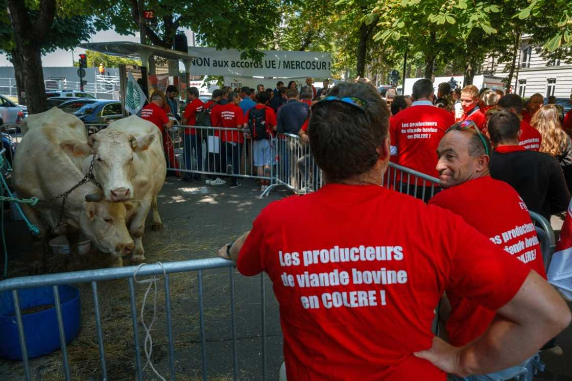 The EU's trade deal with South American bloc Mercosur has faced French-led opposition over agricultural concerns The EU's trade deal with South American bloc Mercosur has faced French-led opposition over agricultural concerns