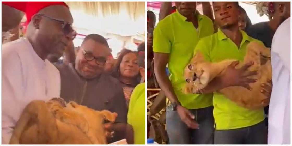 Seun Kuti reacts to viral video of man who attended event with pet lion Seun Kuti reacts to viral video of man who attended event with pet lion