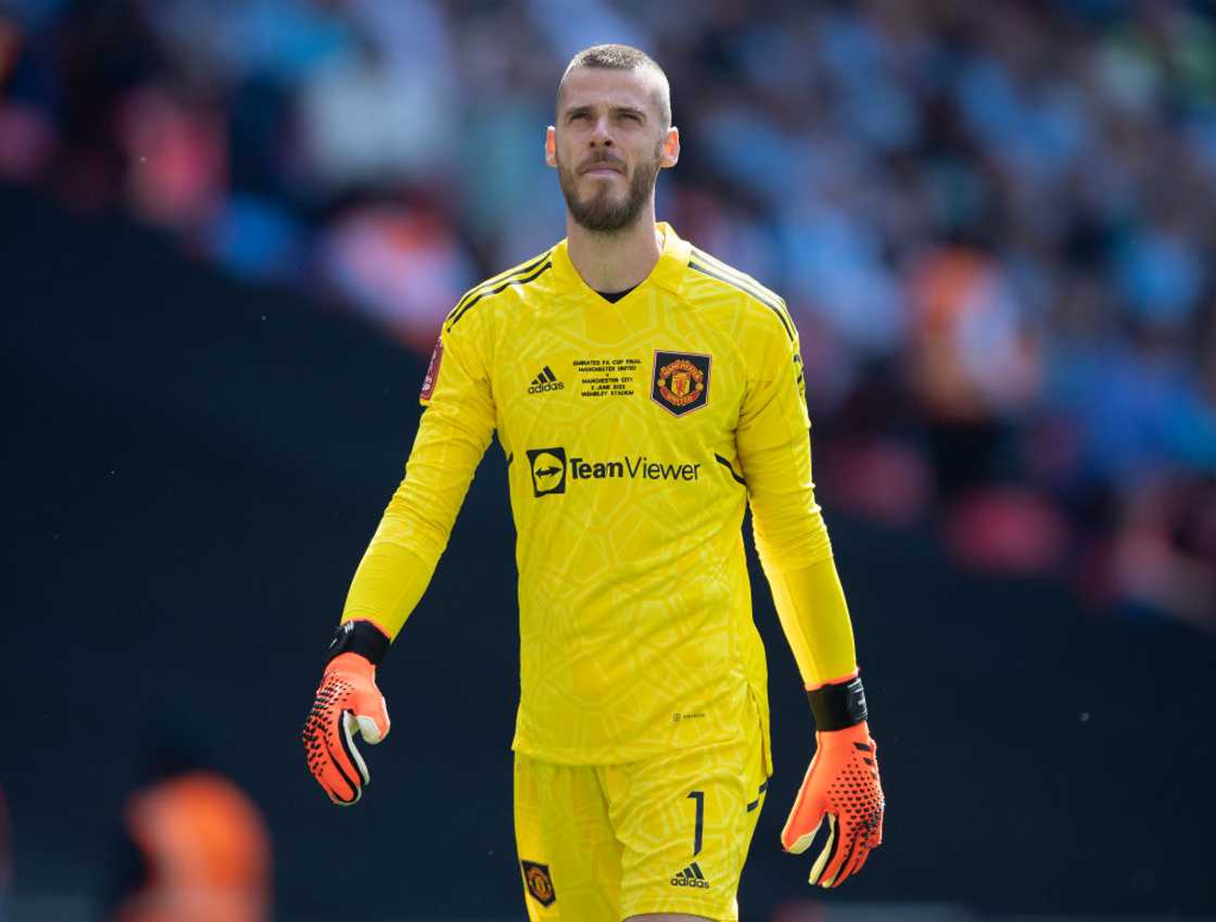 David de Gea of Manchester United during the Emirates FA Cup Final