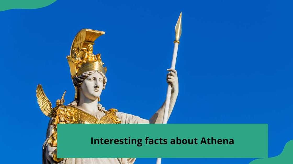 what is athena the goddess of what is athena the goddess of