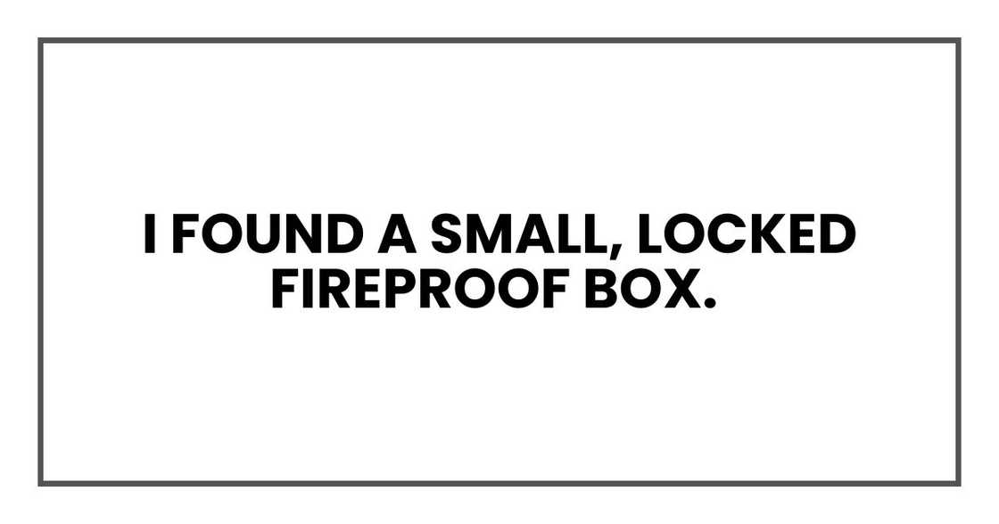I found a small, locked fireproof box.