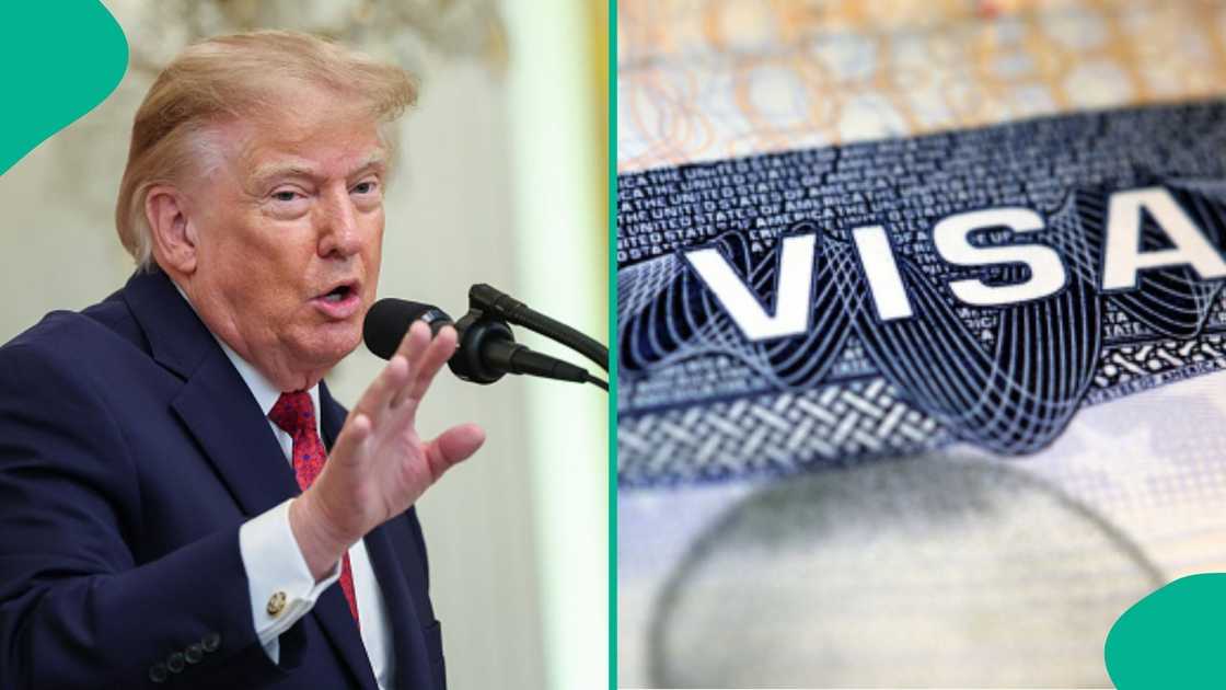 President Donald Trump-led US halts visa issuance to citizens of 12 African countries, explains new restrictions