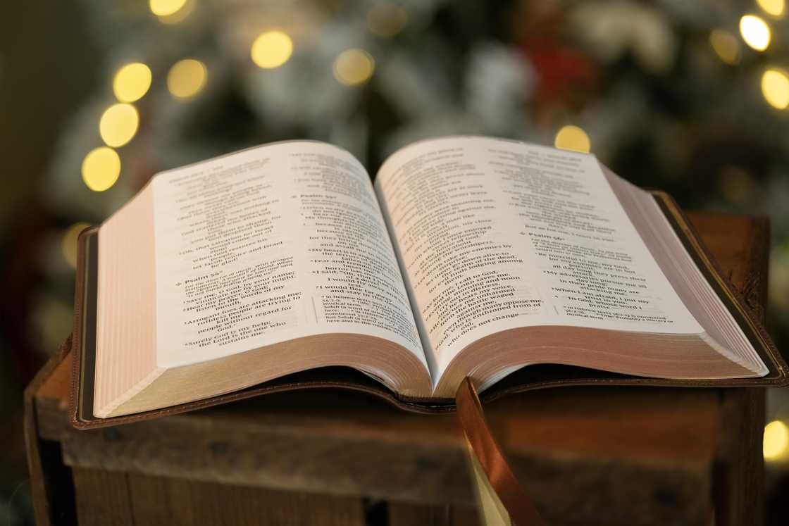 An open Bible on a stool with faded lights in the background