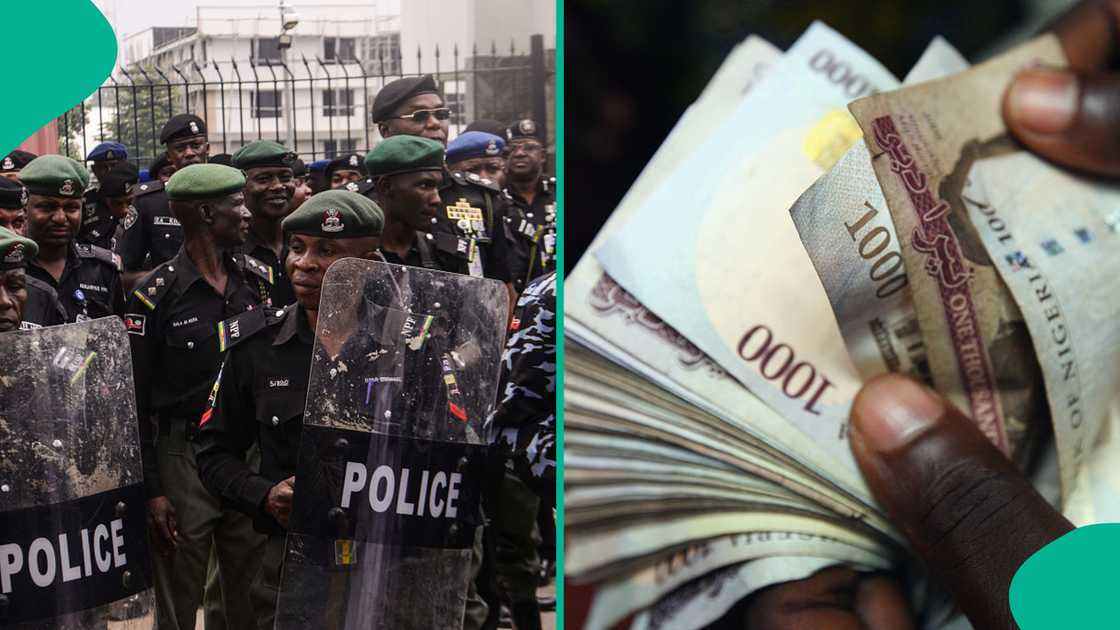 In Nigeria, recruits earn modest stipends, while officers in the UK enjoy structured salary progression and promotion opportunities. In Nigeria, recruits earn modest stipends, while officers in the UK enjoy structured salary progression and promotion opportunities.