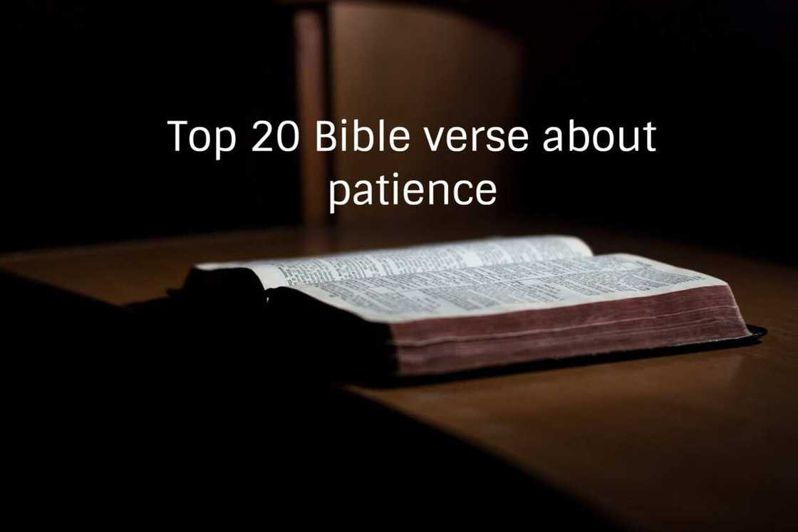 Top 20 Bible verse about patience Top 20 Bible verse about patience