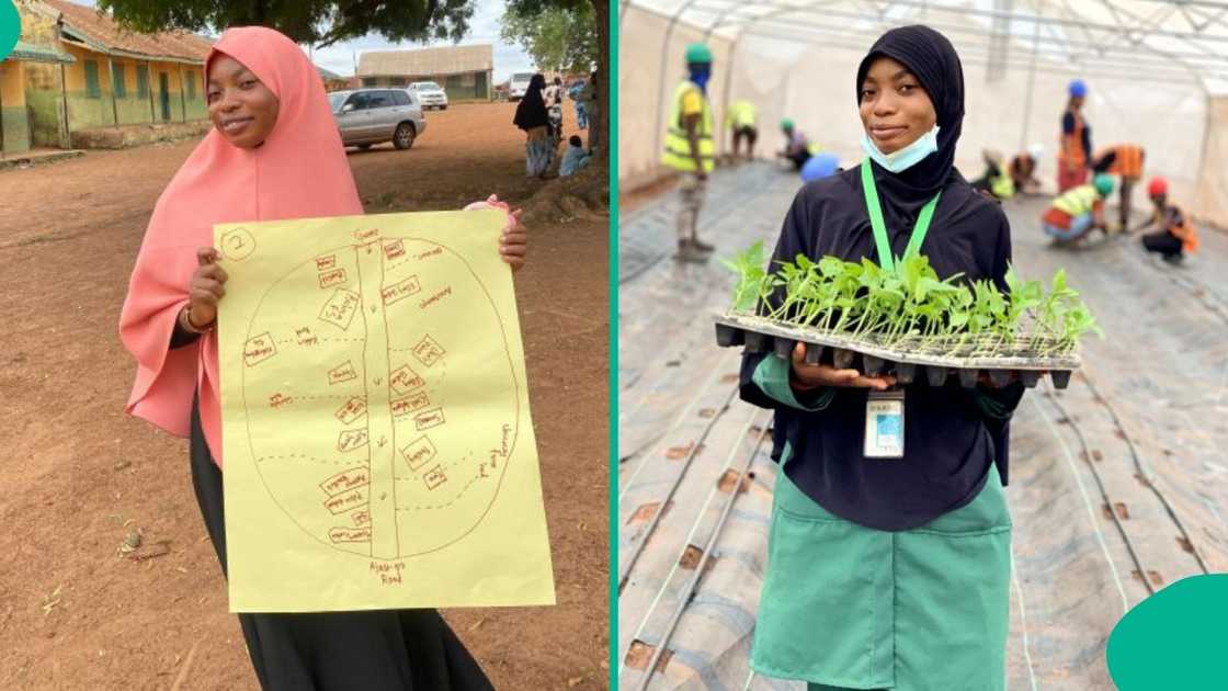 UNILORIN graduate beats expectations after scoring 184 in JAMB, bags first class in Agriculture