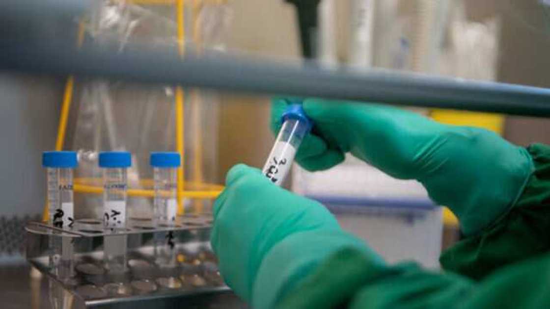 A karon farko: Cutar Korona ta kashe rai a jihar Kaduna A karon farko: Cutar Korona ta kashe rai a jihar Kaduna