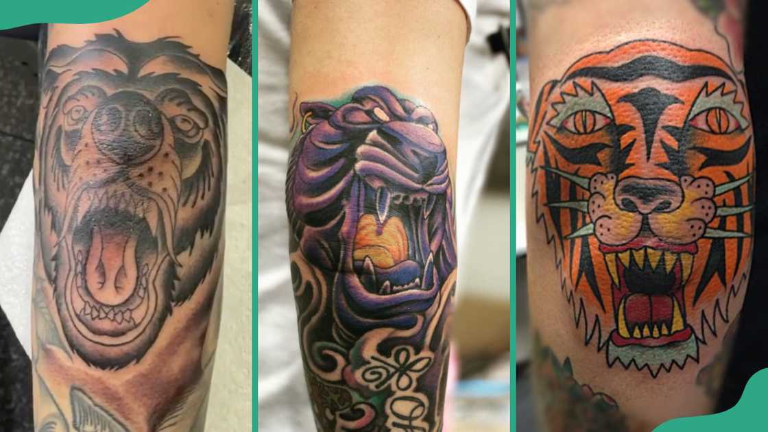 Bear (R), lion (C), and tiger (R) Bear (R), lion (C), and tiger (R)