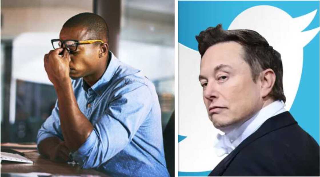 Twitter, Elon Musk Twitter, Elon Musk