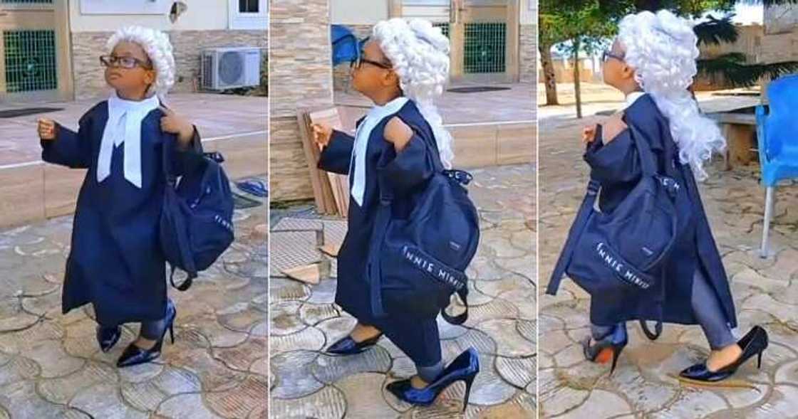 Little girl in lawyer's attire captures attention Little girl in lawyer's attire captures attention