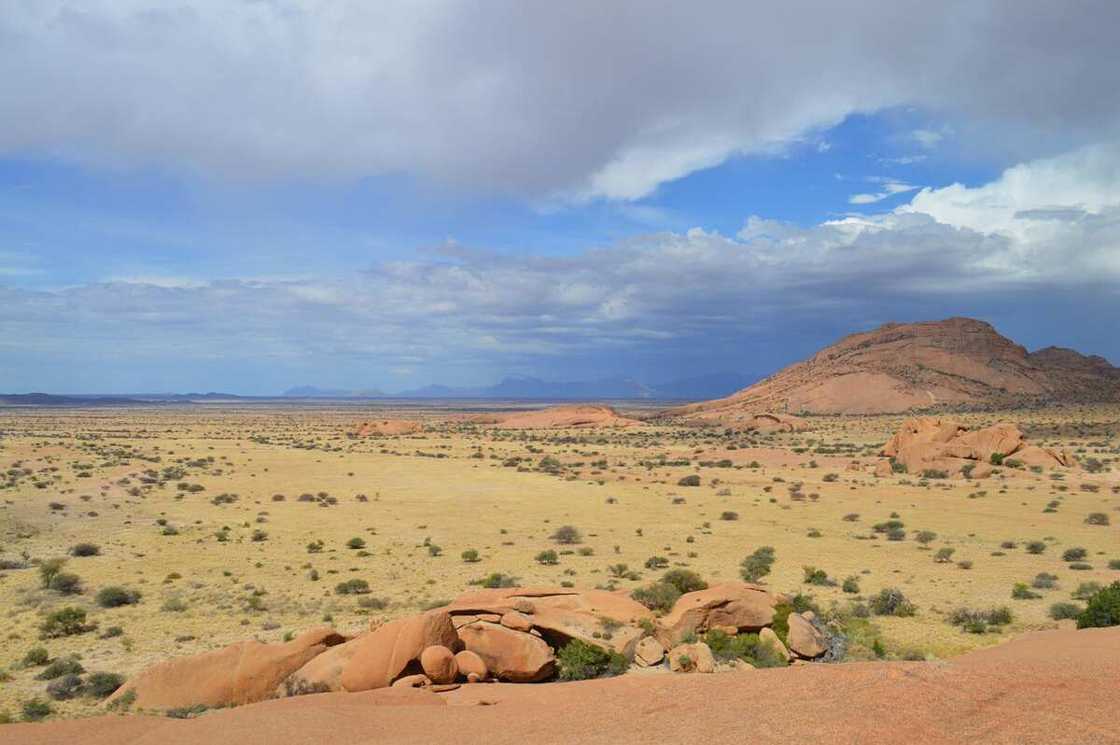 savanna zones in nigeria