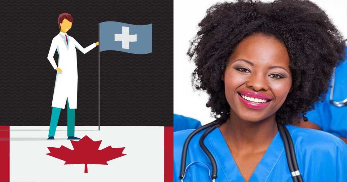 How to study medicine in Canada How to study medicine in Canada