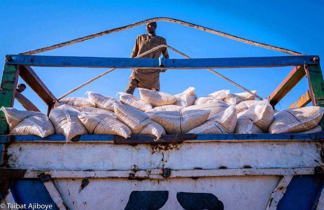 Gwamnatin tarayya ta kaiwa iyalan manoman da aka kashe a Borno tirelan hatsi