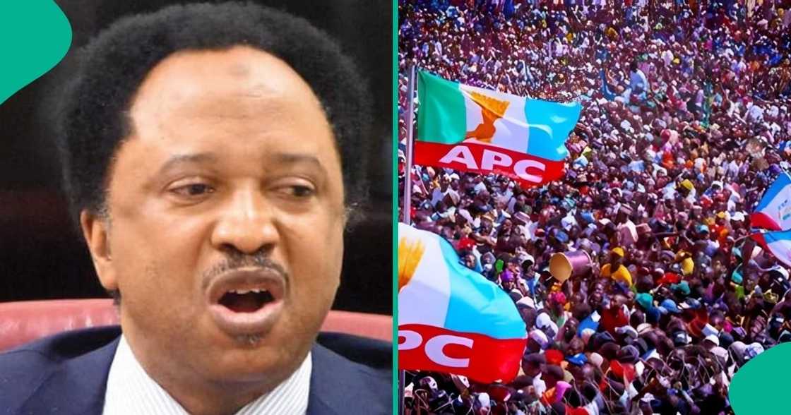 A top analyst Hamma Hayatu blasted ex-Nigerian senator Shehu Sani as he moves to APC.