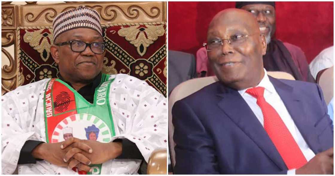 Peter Obi/Peter Obi news/Peter Obi news today/Atiku Peter Obi/Peter Obi news/Peter Obi news today/Atiku