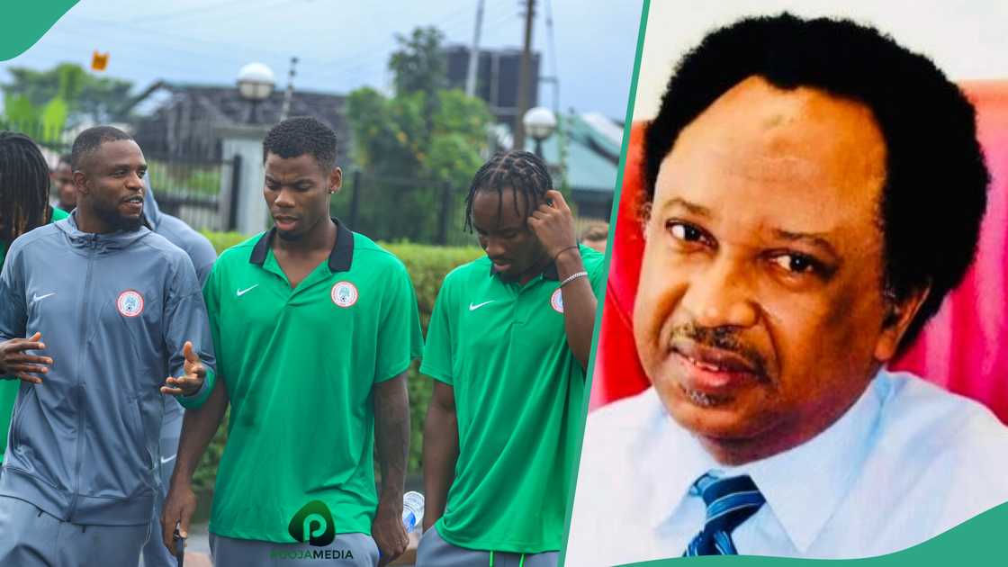 Shehu Sani urged Nigerians with heart problem to desist from watch Nigeria's Super Eagles versus Benin Republic