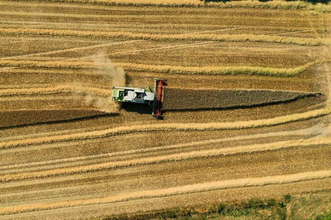 Drought gripped parts of Europe throughout the summer Drought gripped parts of Europe throughout the summer