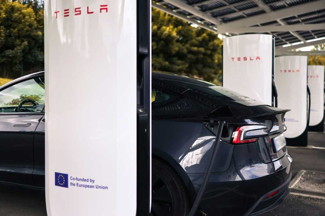 Tesla reported lower auto sales again in the second quarter as CEO Elon Musk's political activism weighs on the company Tesla reported lower auto sales again in the second quarter as CEO Elon Musk's political activism weighs on the company