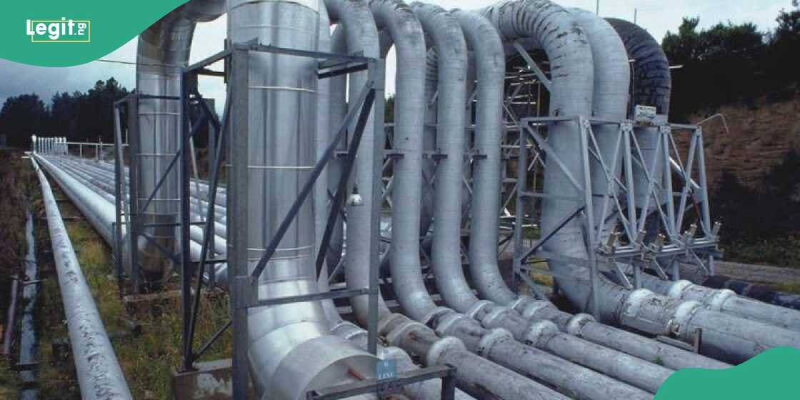 Activist says Tantita's contract for pipeline surveillance is no longer sustainable Activist says Tantita's contract for pipeline surveillance is no longer sustainable