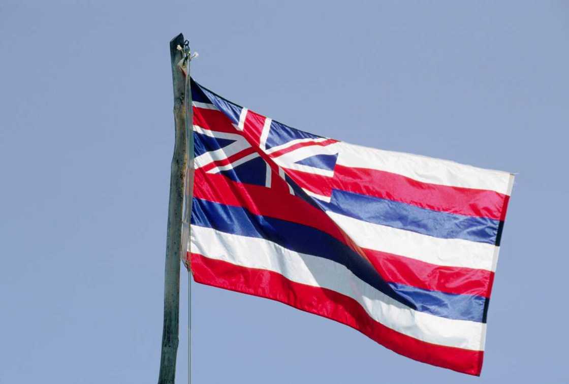 The Hawaiian flag