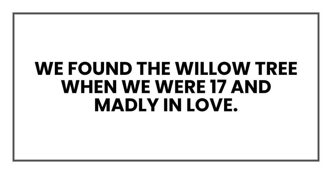 We found the willow tree when we were 17 and madly in love. We found the willow tree when we were 17 and madly in love.