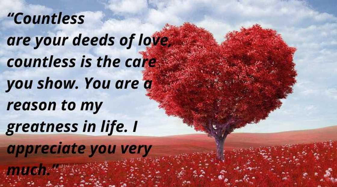 thank you quotes thank you quotes