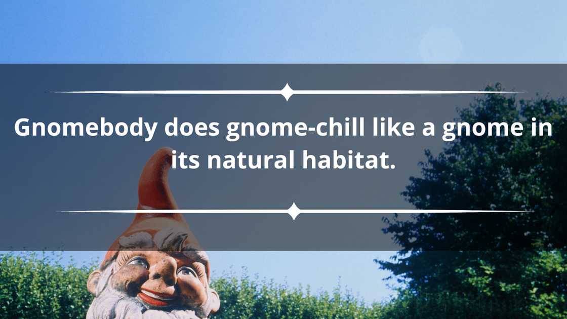 Gnome puns captions Gnome puns captions
