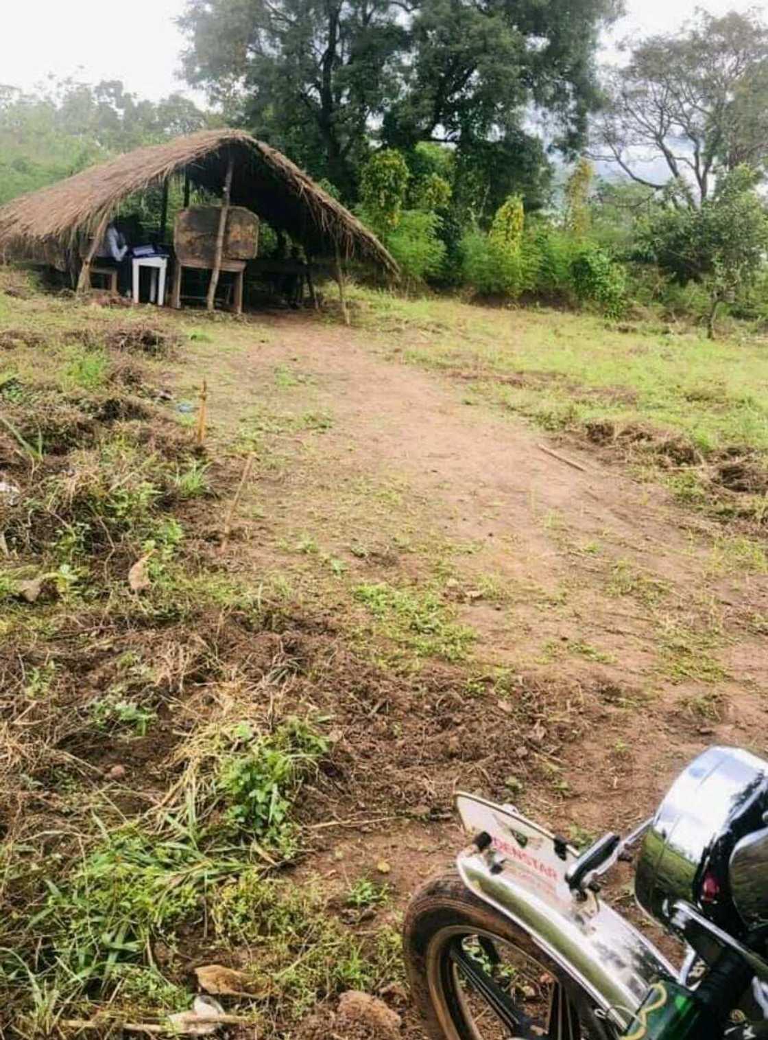 Hotuna: Wata makarantar firamare da dalibai ke daukar darasi a ajin bukka, gindin bishiya kuma shine ofishin hedimasta Hotuna: Wata makarantar firamare da dalibai ke daukar darasi a ajin bukka, gindin bishiya kuma shine ofishin hedimasta