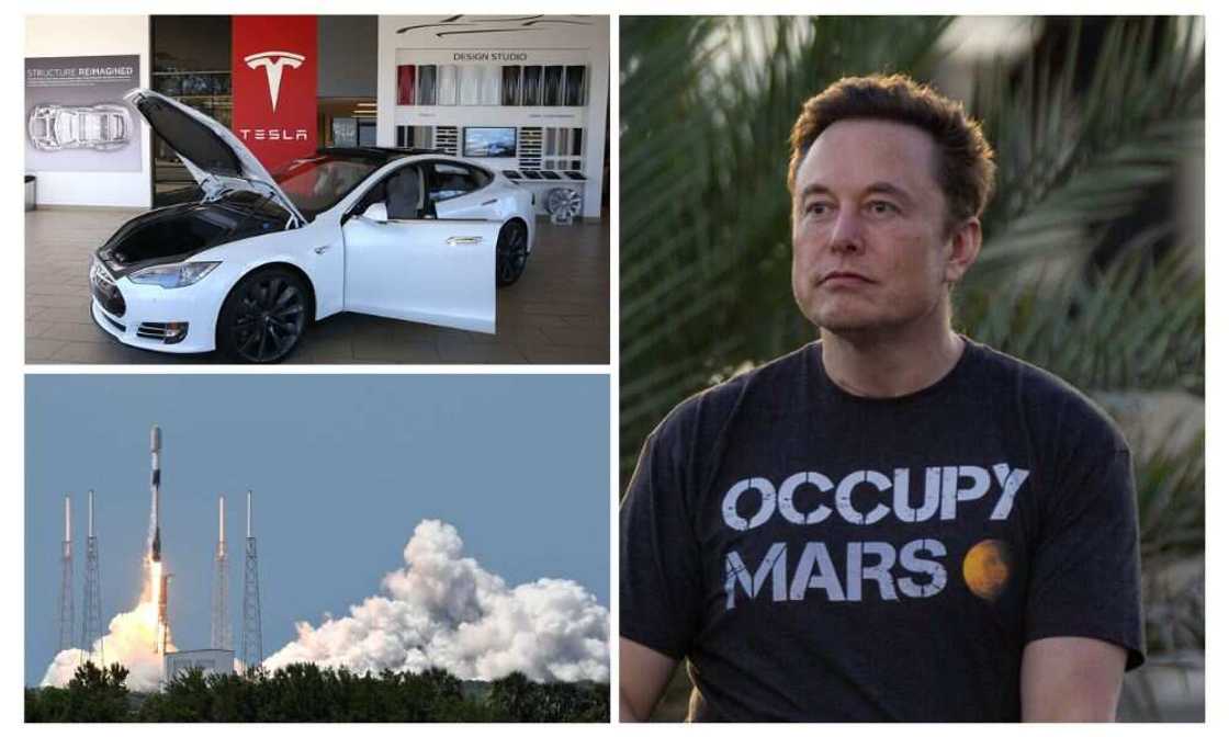 Elon Musk, companies Elon Musk, companies