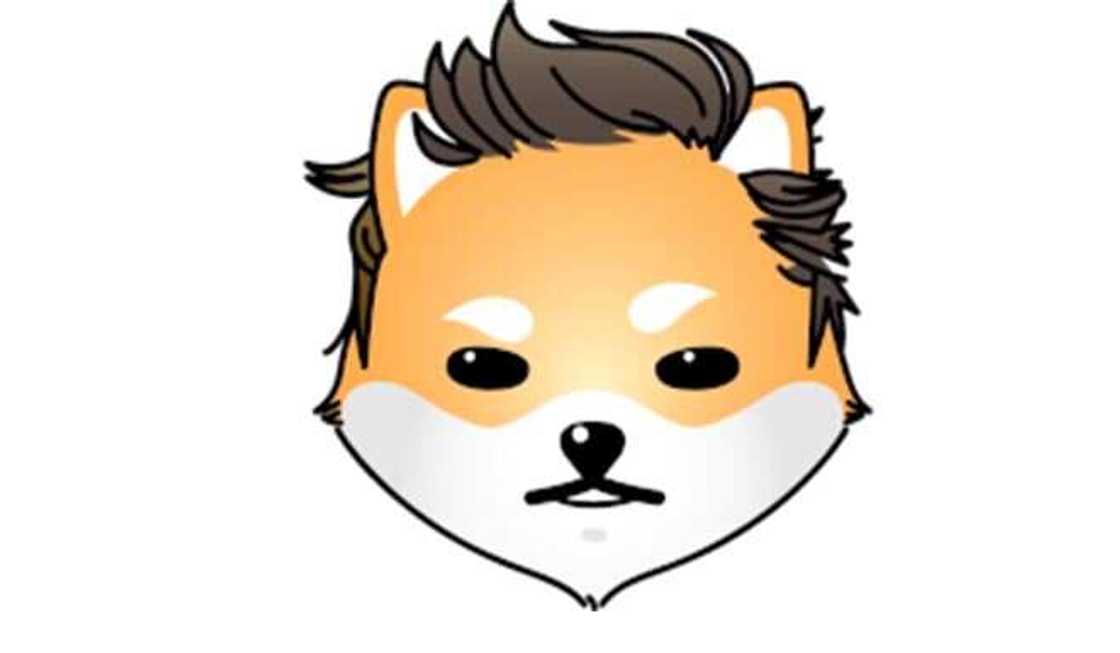 Dogelon Mars - More Meme Coins or Time to Shift to Promising Utility Coins Like Seesaw Protocol? Dogelon Mars - More Meme Coins or Time to Shift to Promising Utility Coins Like Seesaw Protocol?