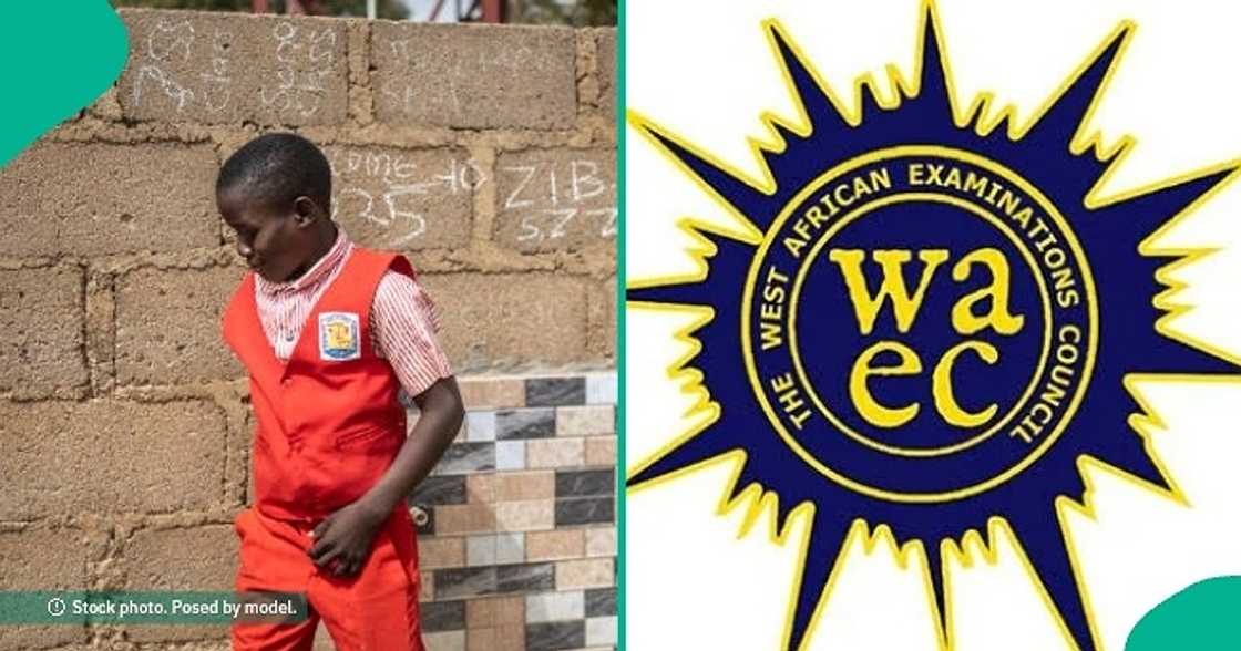Exam result of boy who was called the most unserious person in his house surfaces online.