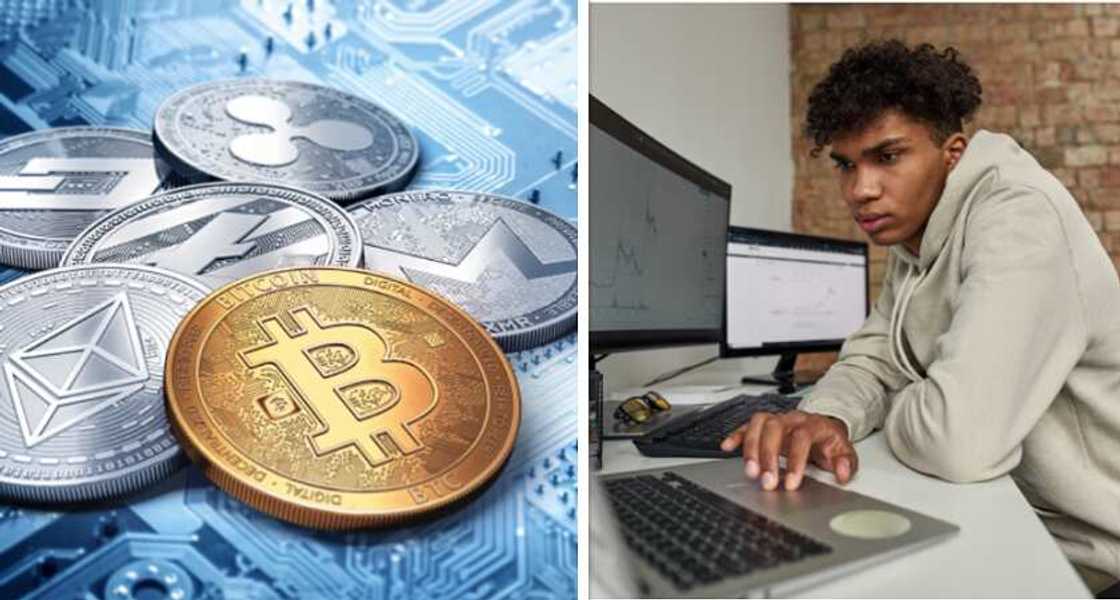 Google Trends search for Bitcoin, crypto Google Trends search for Bitcoin, crypto