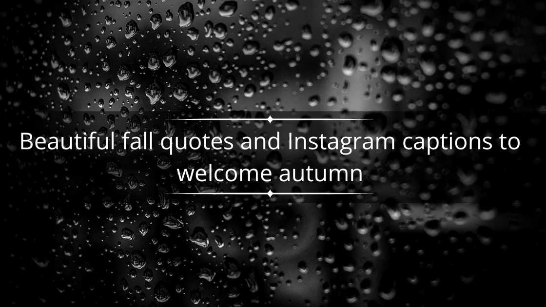 Fall quotes